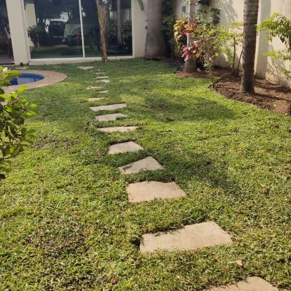 Mantenimiento de áreas verdes