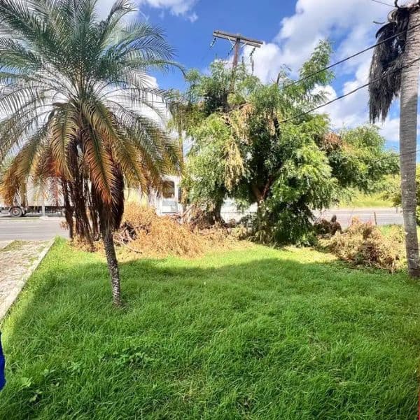 Limpieza de terrenos enmontados