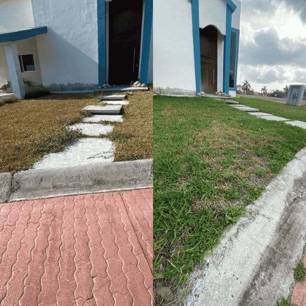 Fertilización de áreas verdes