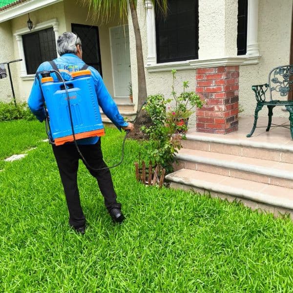 Fumigación para prevención de plagas