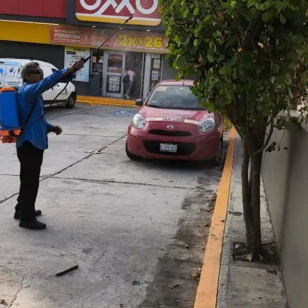 Tratamiento de plantas con enfermedad