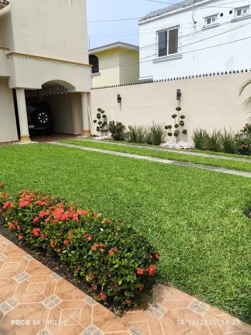 Diseño y Previsualización 3D de Jardines - foto 2