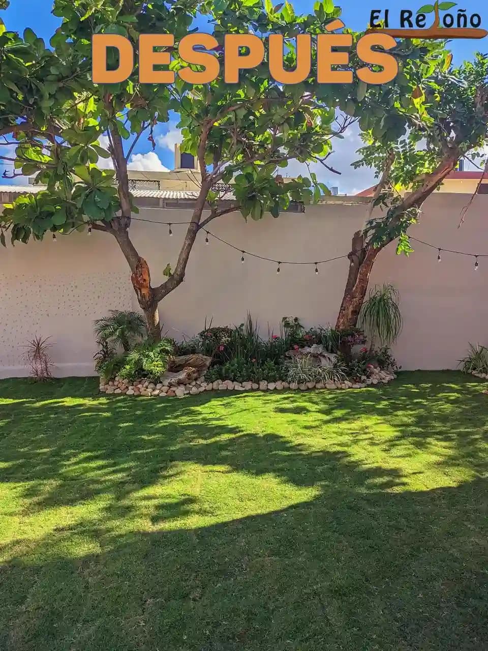 Diseño y Previsualización 3D de Jardines - foto 5