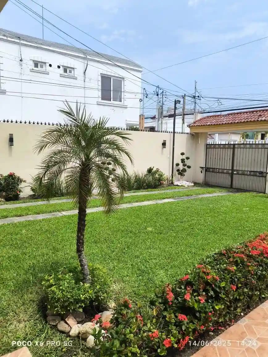 Fertilización Profesional de Jardines - foto 5