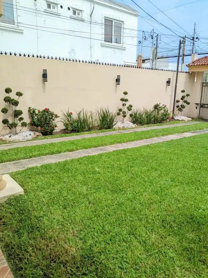 Fertilización Profesional de Jardines - foto 4