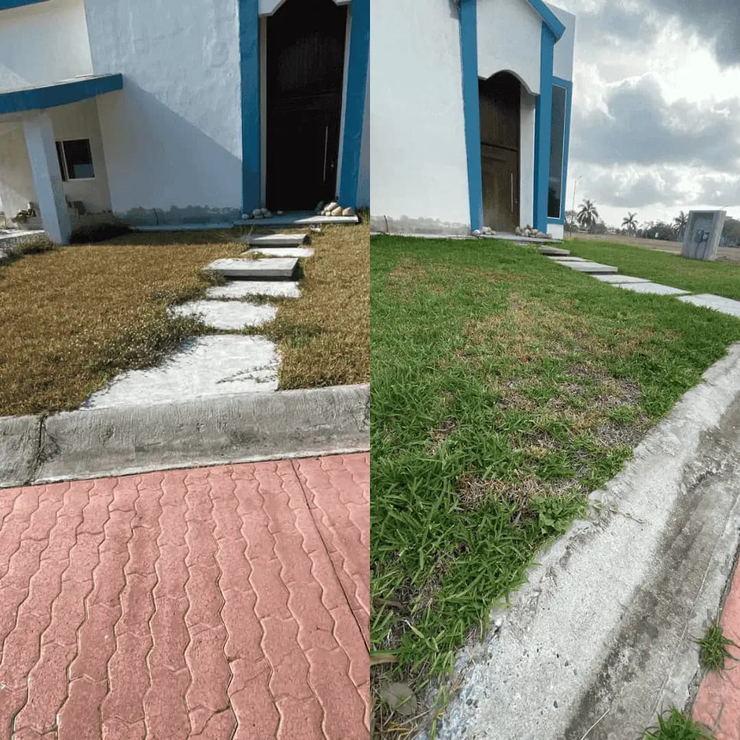 Fertilización de áreas verdes y jardines en Tampico