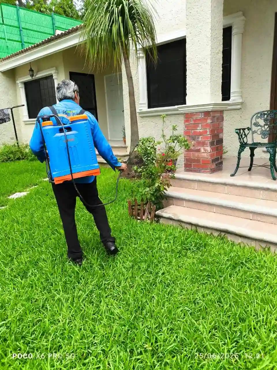 Fumigación profesional de jardines en Tampico