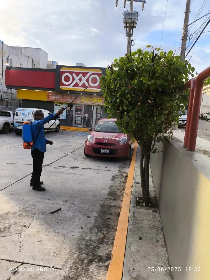 Fumigación Profesional de Jardines - foto 2