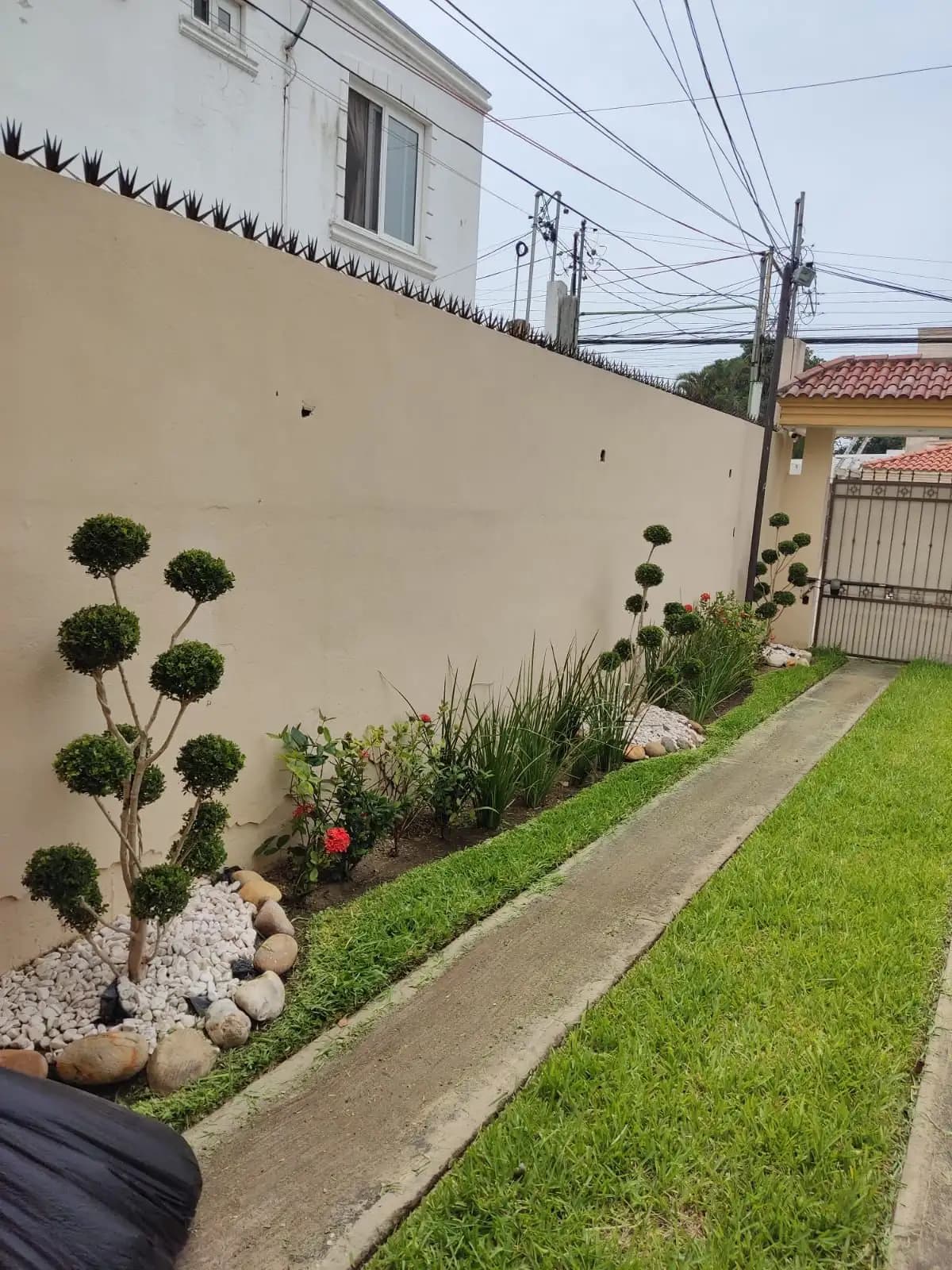 Mantenimiento de Jardines Residenciales - foto 2