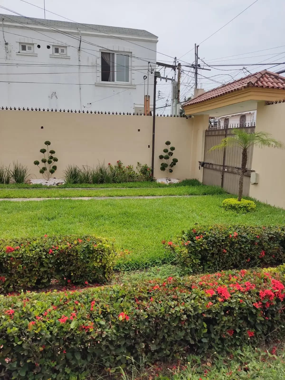 Mantenimiento de Jardines Residenciales - foto 3