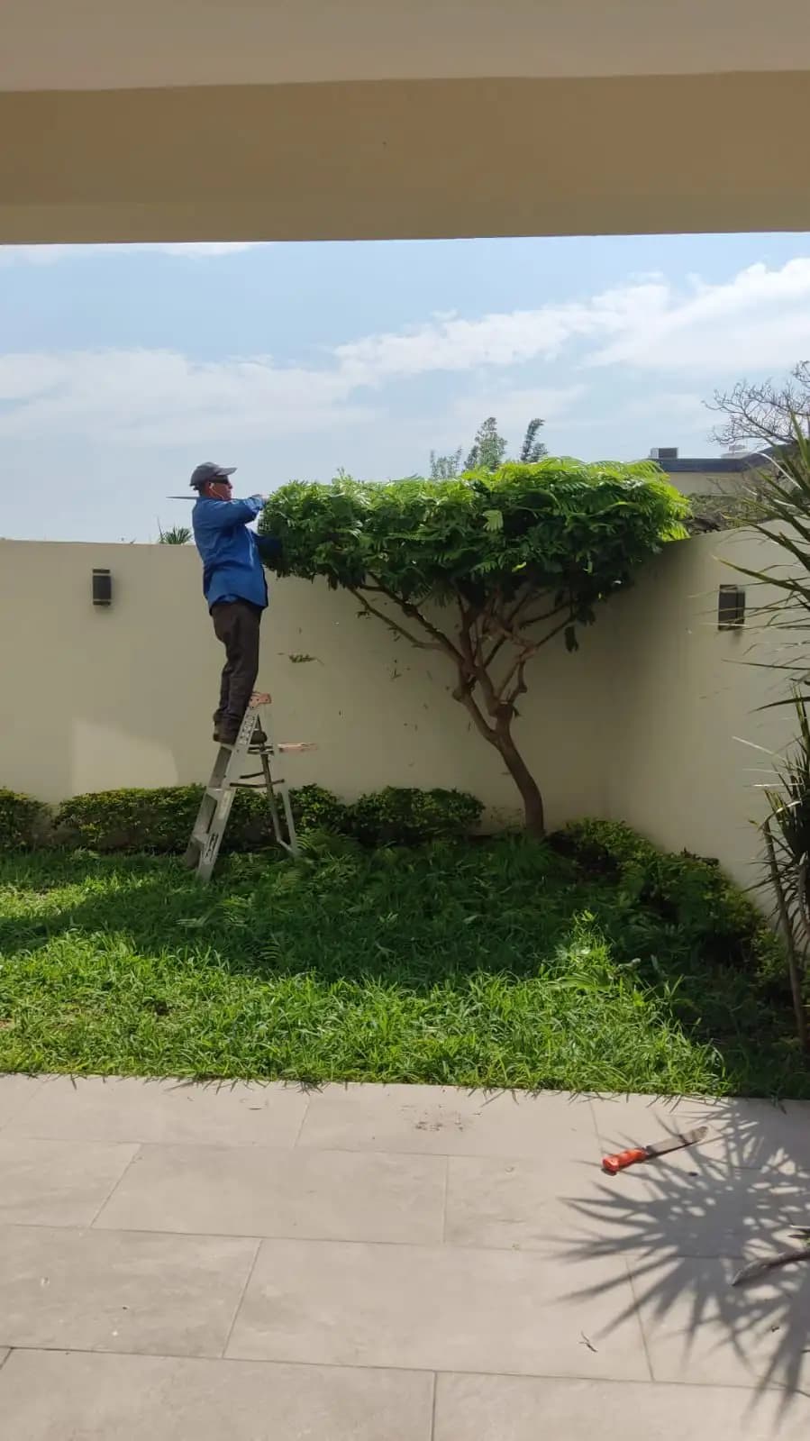 Mantenimiento de Jardines Residenciales - foto 4