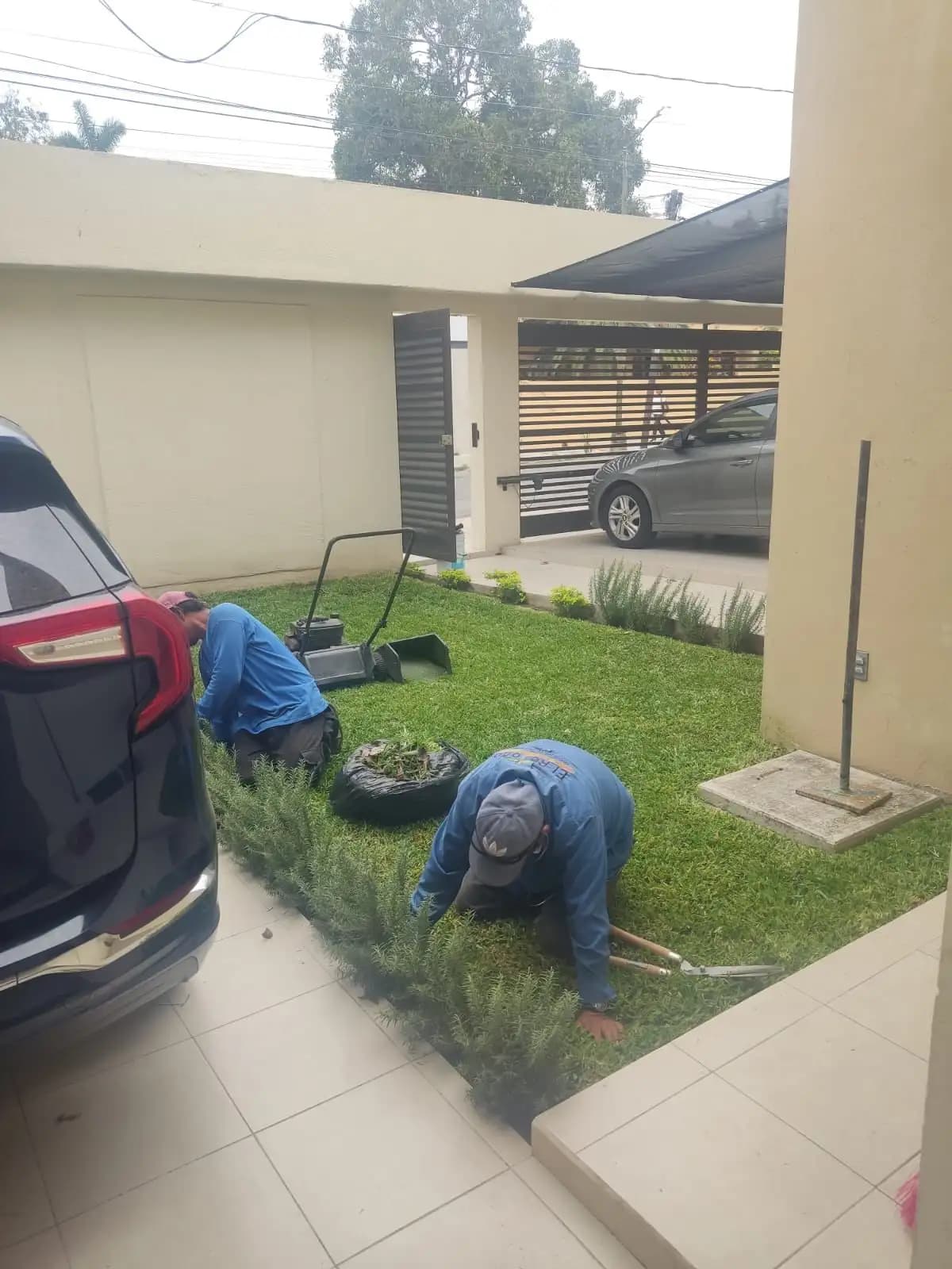 Mantenimiento de Jardines Residenciales - foto 7