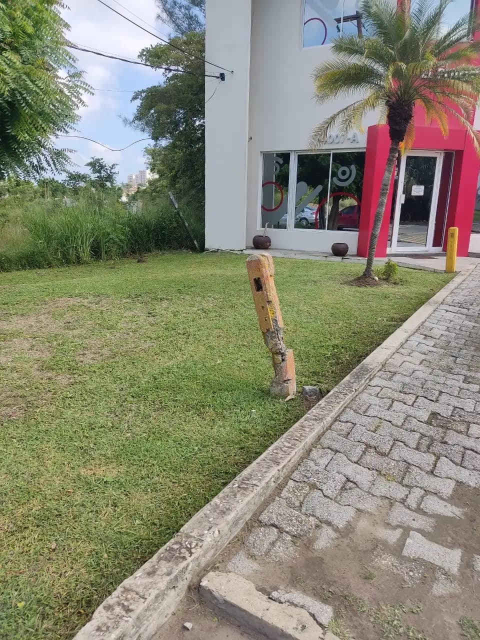 Póliza de mantenimiento de áreas verdes comerciales en Tampico