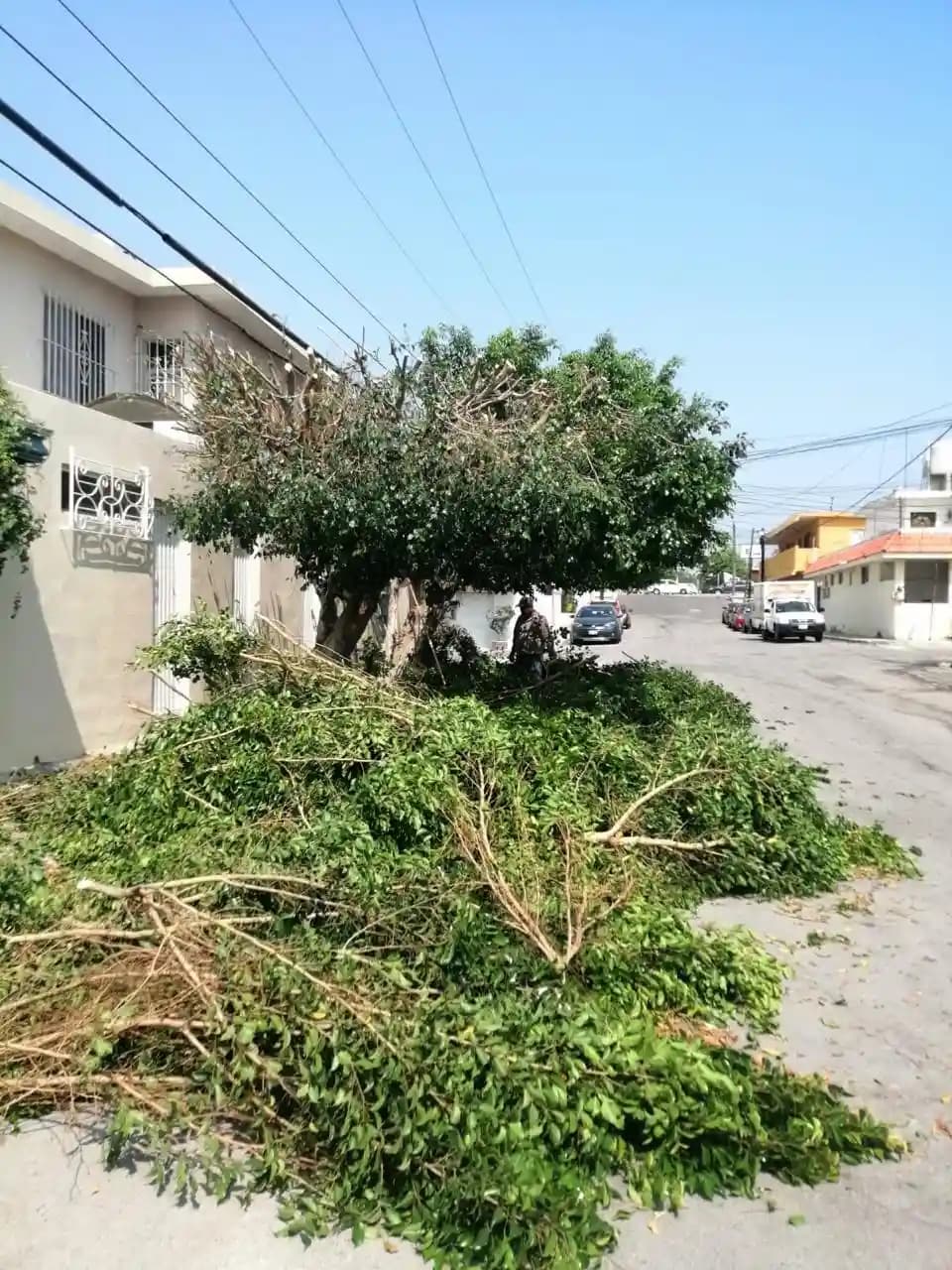 Retiro de Basura y Limpieza de Jardines - foto 2