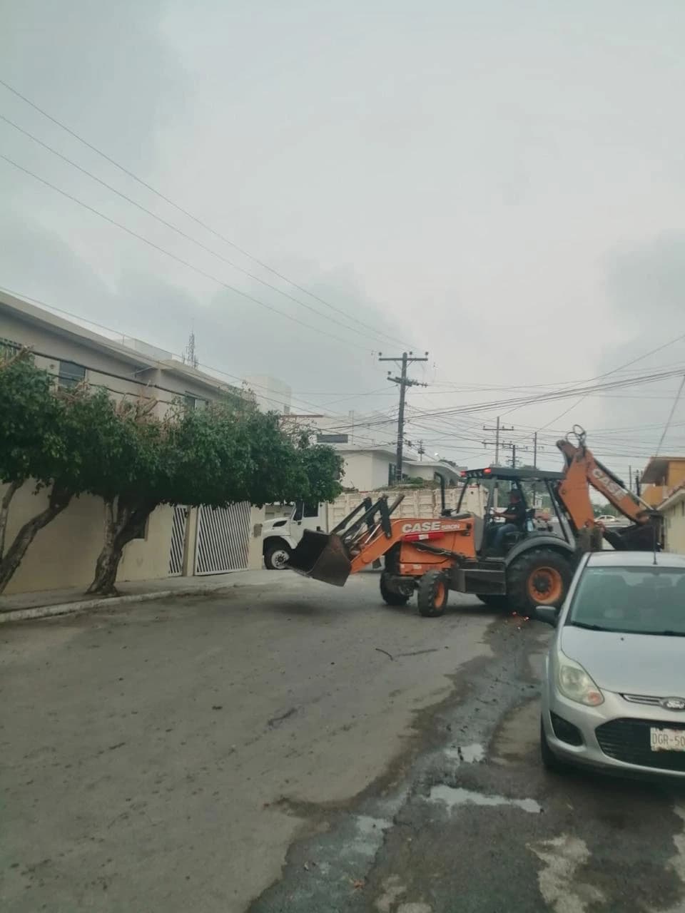 Retiro de Basura y Limpieza de Jardines - foto 3