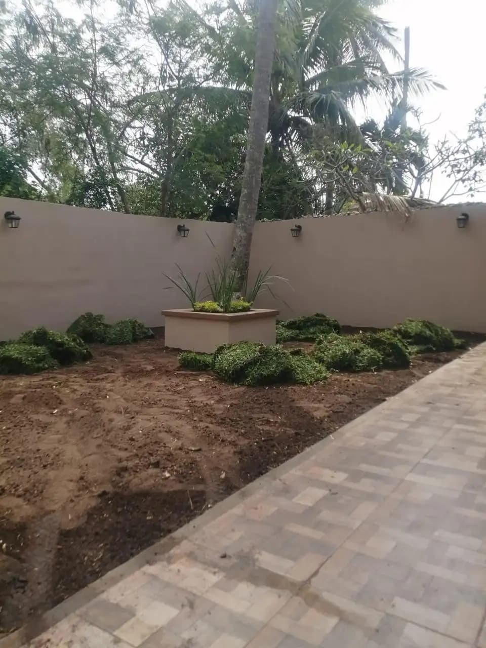 Venta e Instalación de Pasto - foto 10