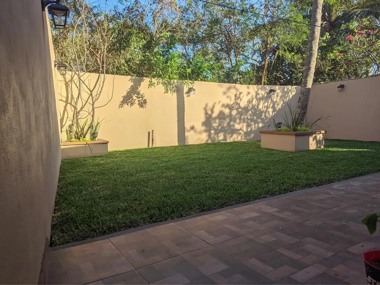 Venta e Instalación de Pasto - foto 11