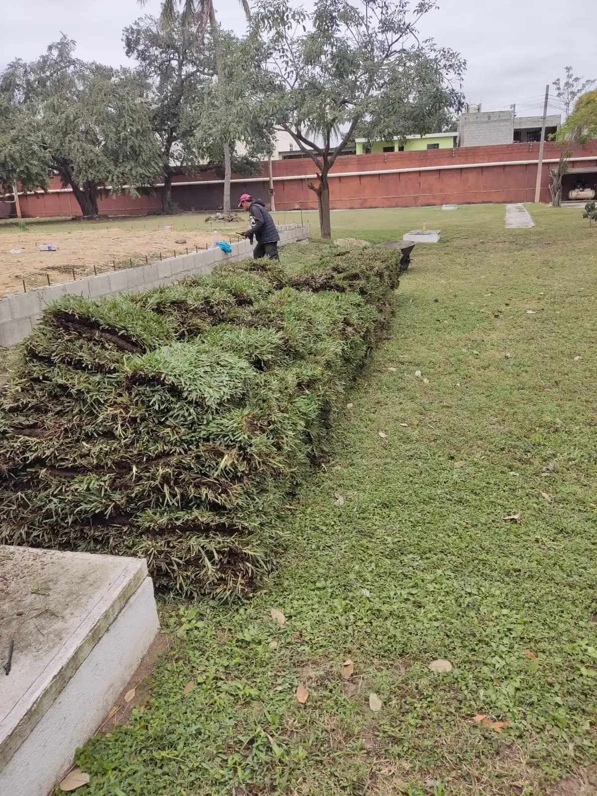 Venta e Instalación de Pasto - foto 1