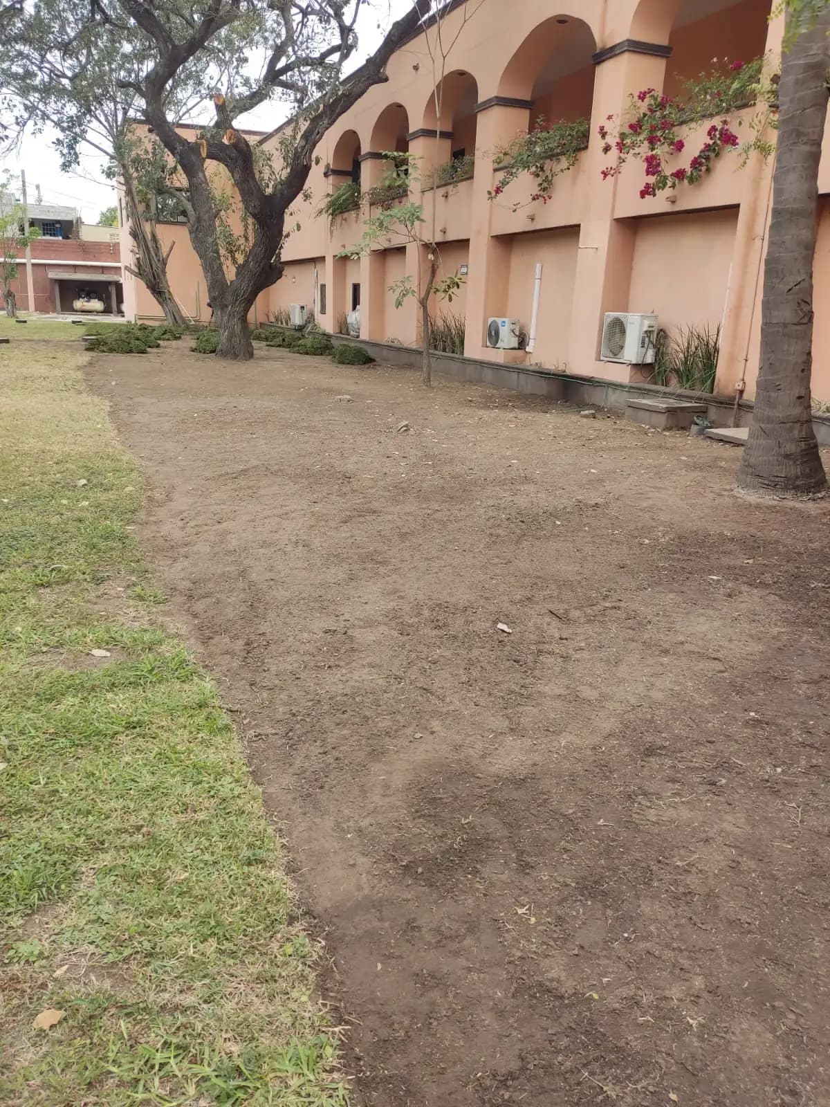 Venta e Instalación de Pasto - foto 2