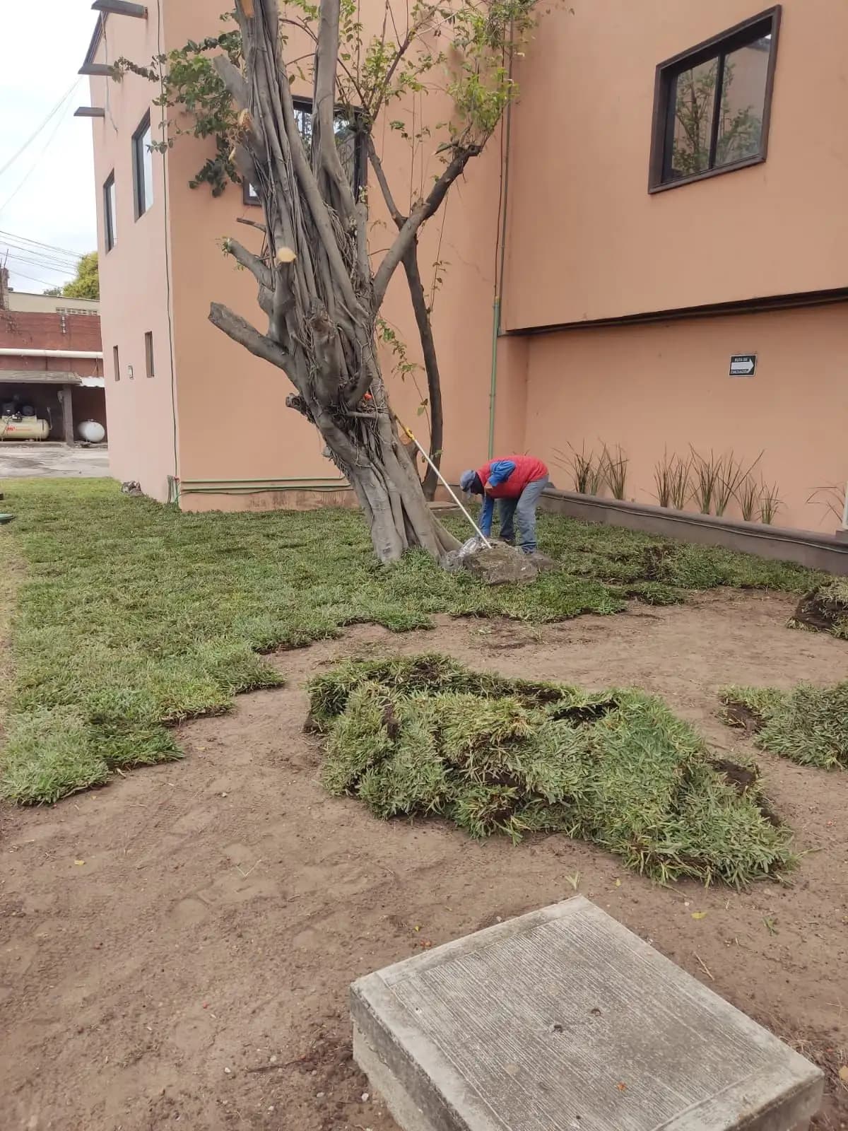 Venta e Instalación de Pasto - foto 3