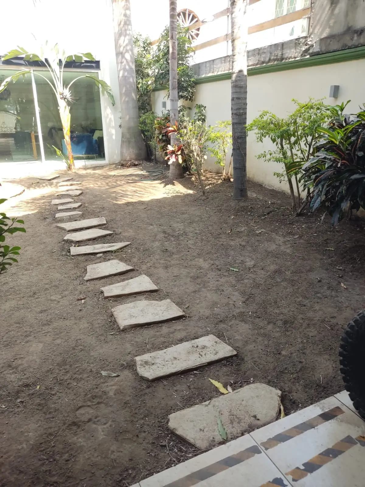 Venta e Instalación de Pasto - foto 6