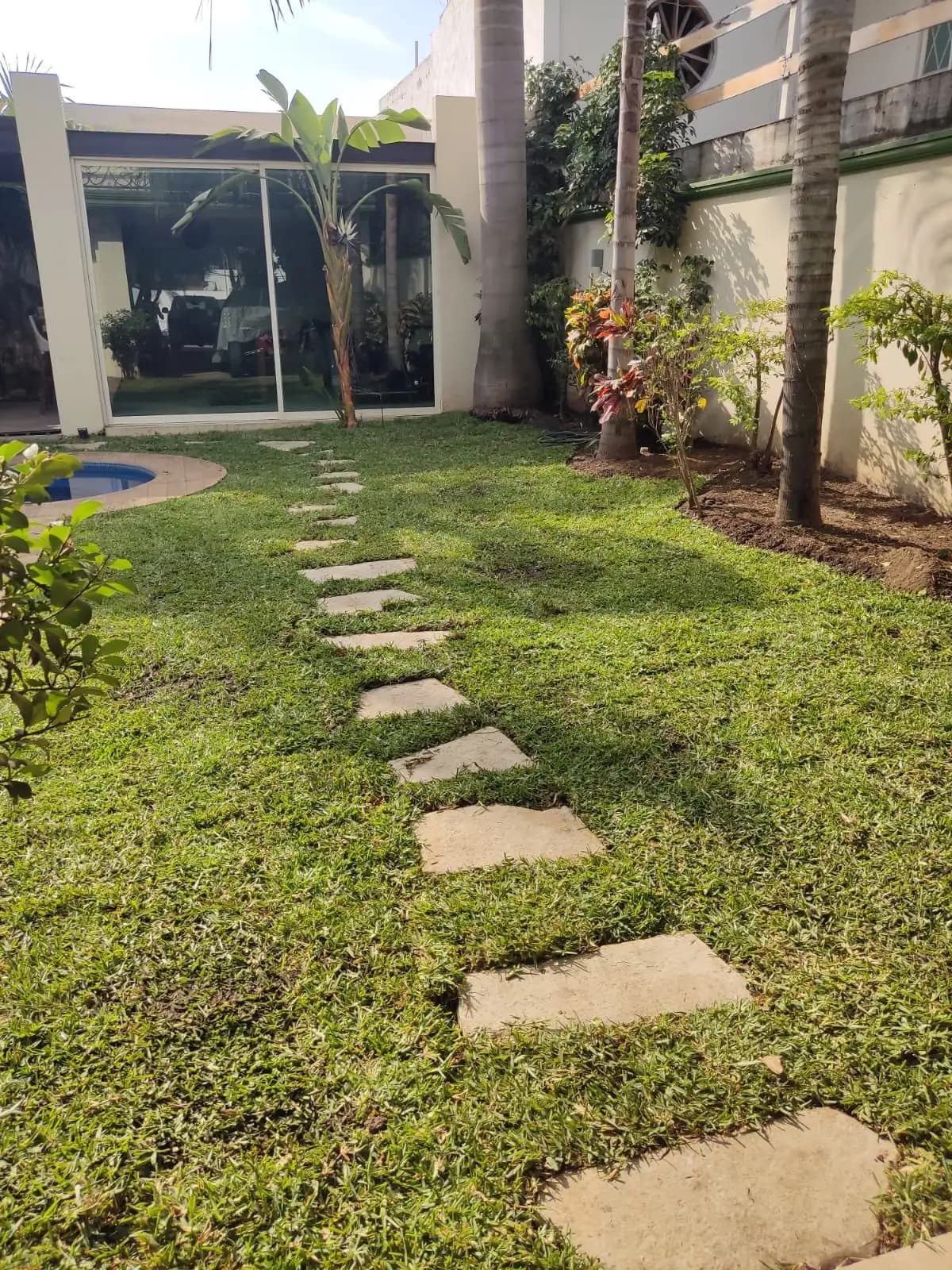 Venta e Instalación de Pasto - foto 7