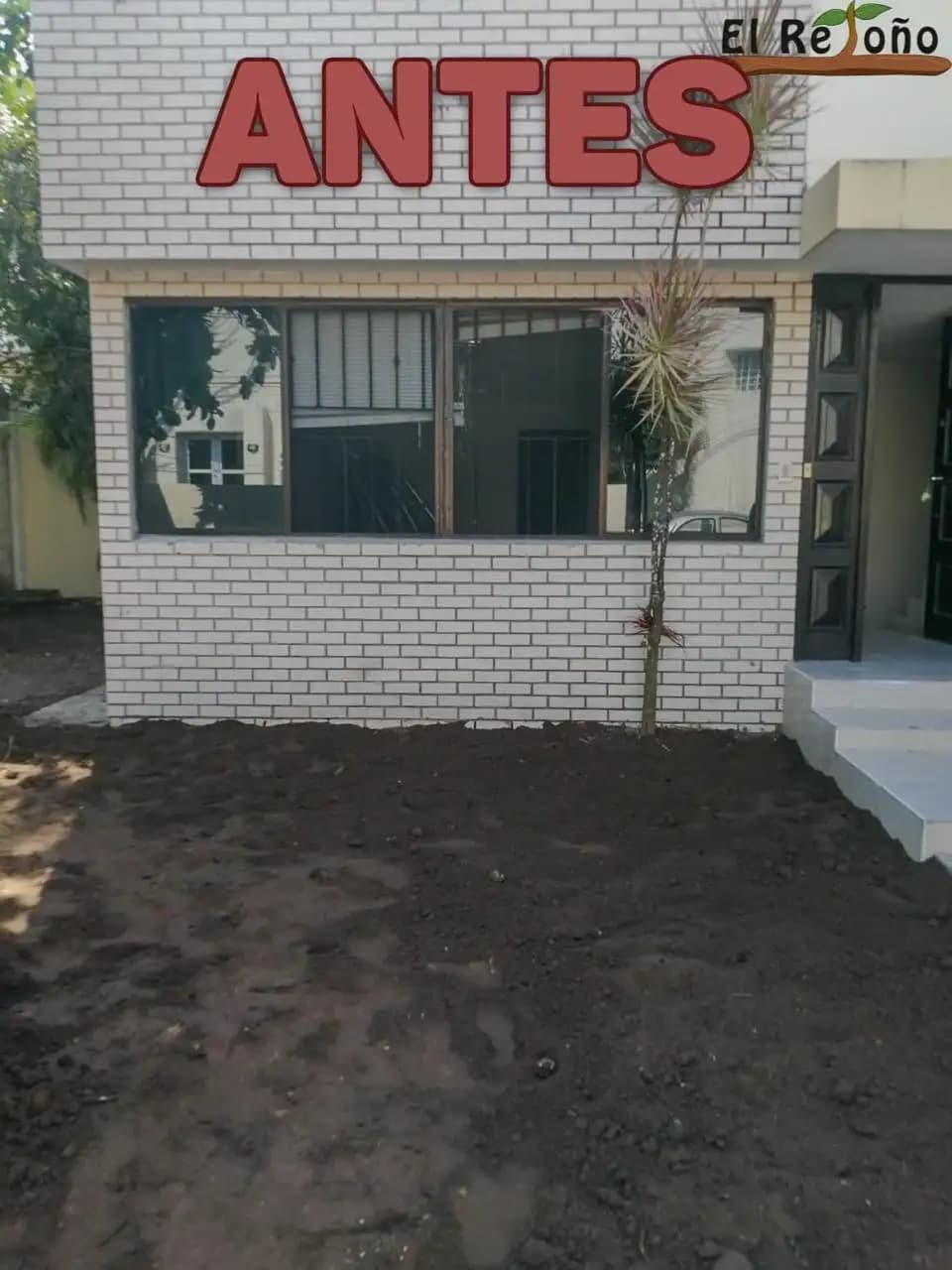 Venta e Instalación de Pasto - foto 8